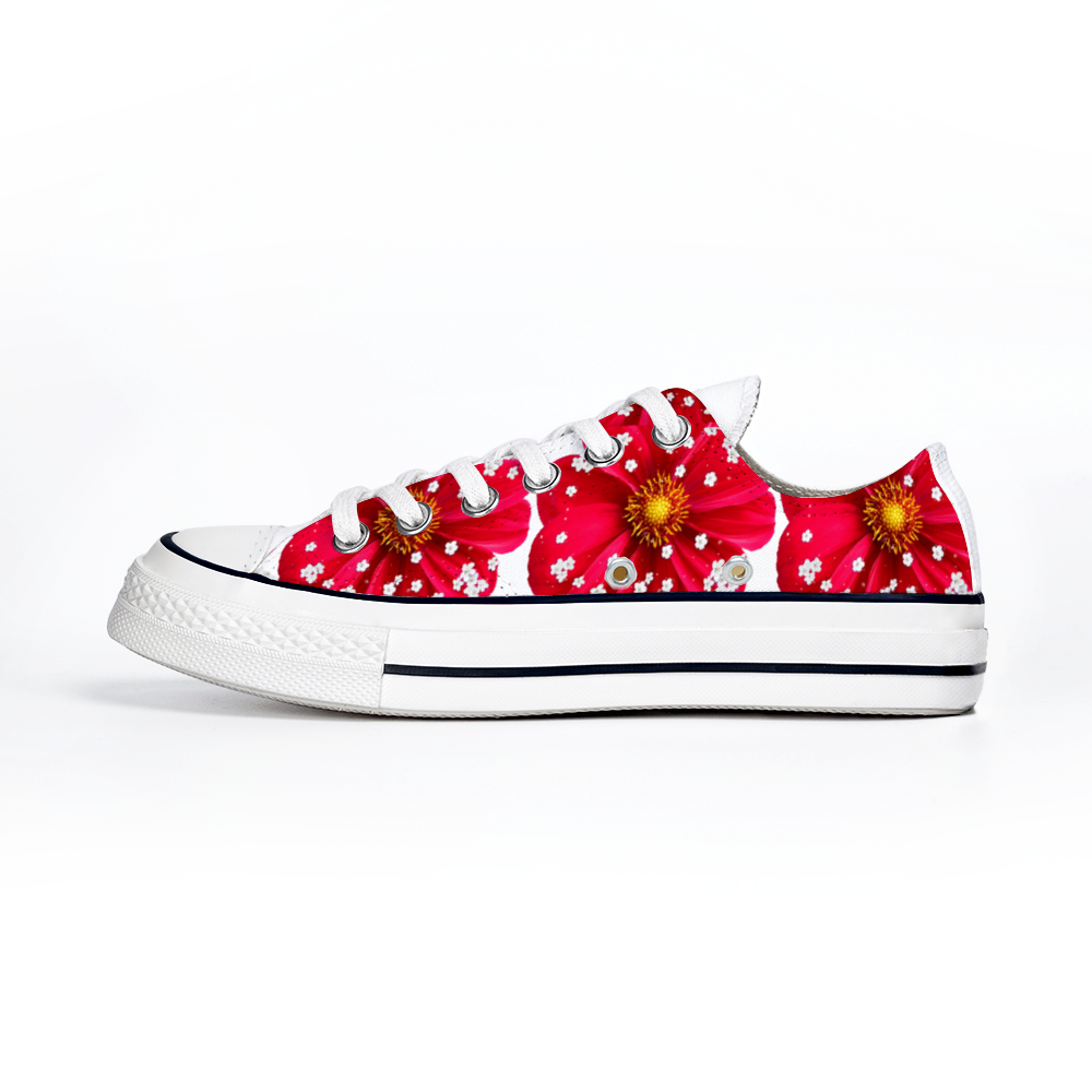 Custom Shoes Unisex Low Top Canvas Shoes